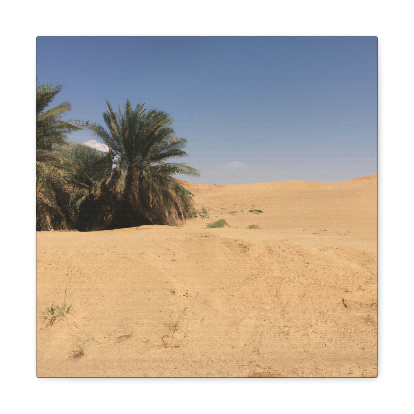 "A Desert Oasis" - The Alien Canva