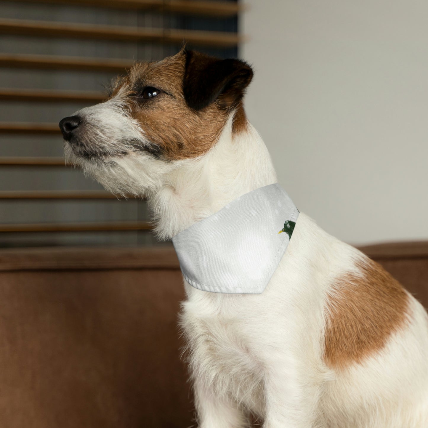 "The Solitary Nest-Builder in the Snow" - The Alien Pet Bandana Collar